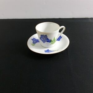 Bavaria Germany Teacup & Saucer